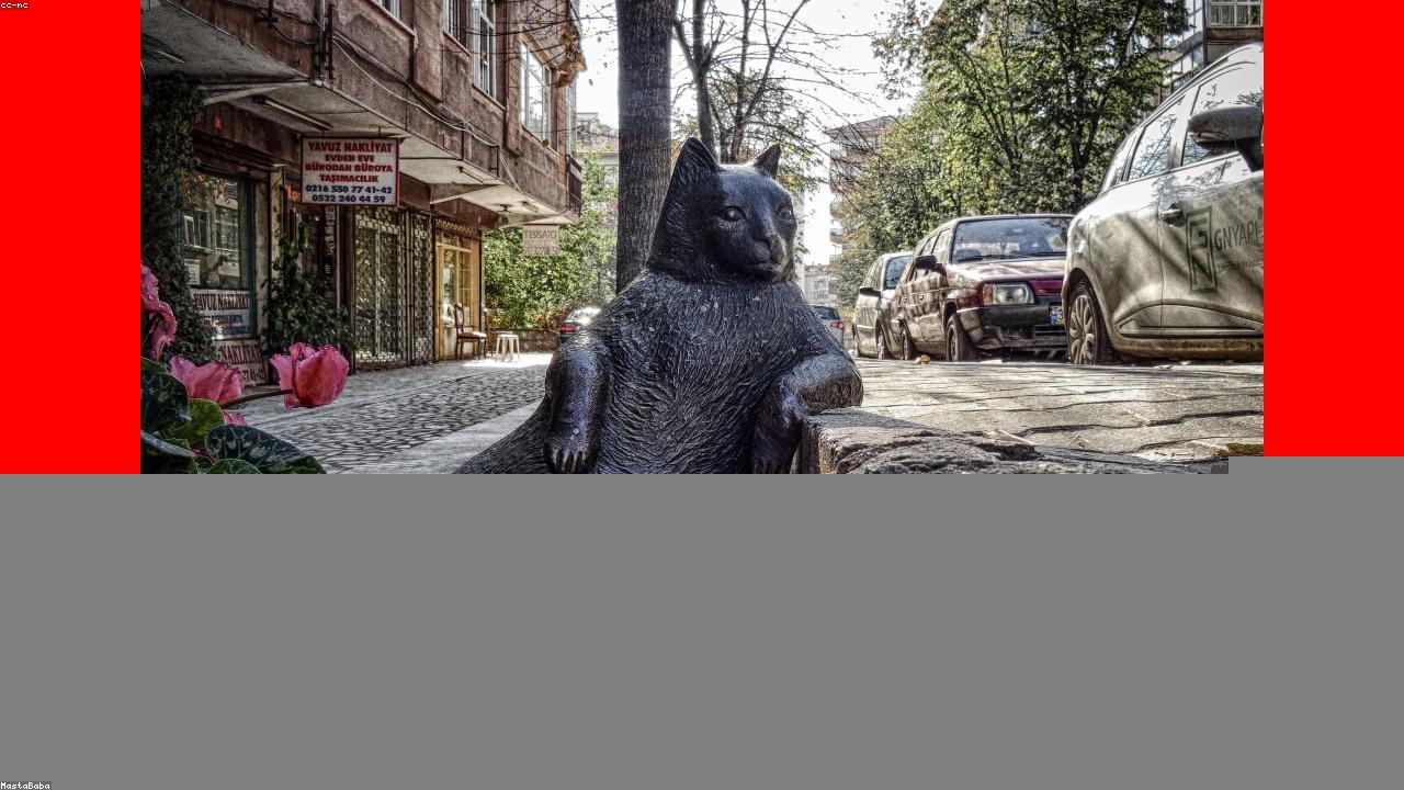 仅6.1分！41岁C罗第35次失点 空门离谱踢偏+4射0球 伤退或缺阵2周（封面配图）